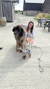 puppy socialisation classes 
